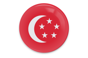 President of Singapore Flag Vector Art flag