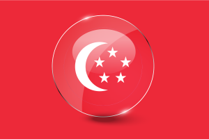 President of Singapore Flag Glossy Round Button flag