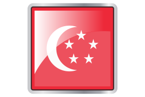 President of Singapore Flag Square icon flag