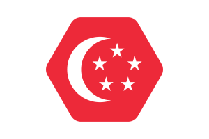 President of Singapore Flag Vector Illustration flag