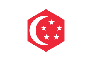 President of Singapore Flag Hexagon Shape flag