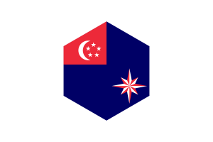 State Marine Ensign of Singapore Flag Hexagon Shape flag
