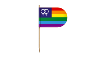 They them Lesbian flag flag