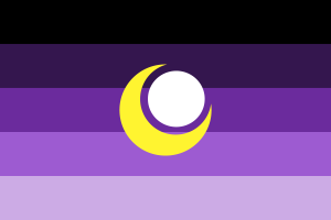 Bi flag flag