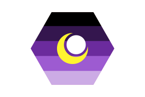 What does the bi flag mean flag