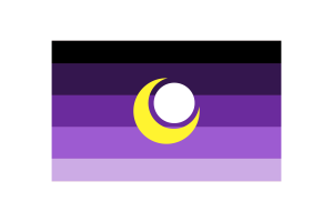 What does the purple in the bi flag mean flag
