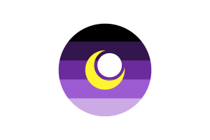 What does the purple mean in the bi flag flag