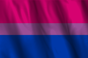 Couleurs du drapeau bisexuel flag