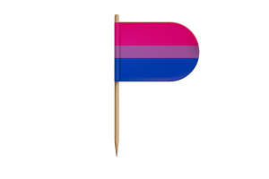 Drapeau bisexuel aromantique flag