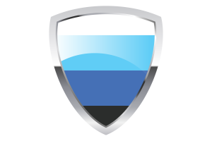 bandera trans negra flag