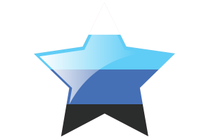 arte de la bandera trans flag