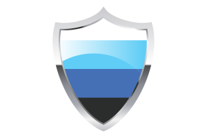 bandera gay y trans flag