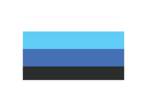 tatuaje de la bandera trans flag