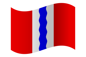 Omsk Flag flag