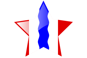 Omsk Flag Star Icon flag