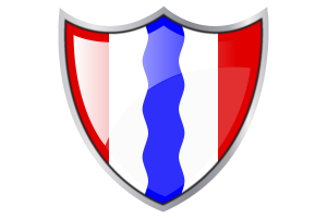 Standard of Omsk flag