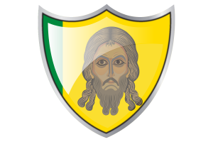 Standard of Penza flag