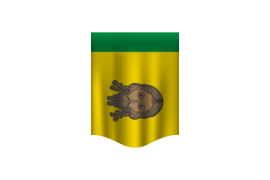 Penza Flag Banner flag