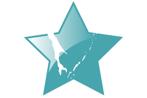 Sakhalin Flag Star Icon flag