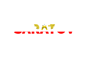 Saratov Text Art flag