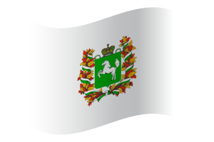 Tomsk Flag flag