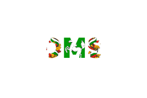 Tomsk Text Art flag