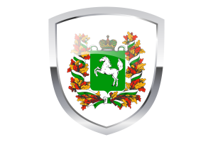 National Flag of Tomsk Clipart flag