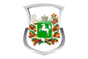 Tomsk Pride Flag flag