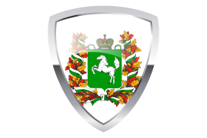 Tomsk Shield Flag flag