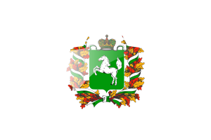Tomsk Flag Star Icon flag