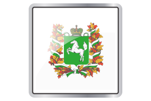 Tomsk Flag Square icon flag