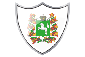 Standard of Tomsk flag