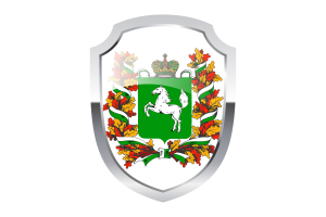 Tomsk Shield Logo flag