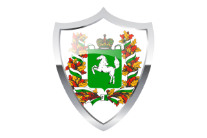 Tomsk Flag with Medieval Heater Shield flag