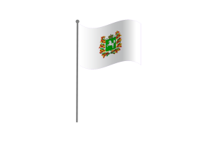 Waving Flag of Tomsk flag