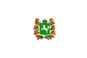 Tomsk Flag Hexagon Shape flag