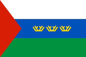 Flag of Tyumen flag