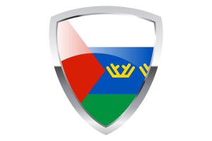Tyumen Shield Flag flag
