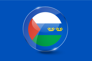 Tyumen Flag Glossy Round Button flag
