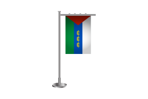 Tyumen Standing Flag flag
