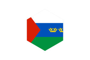 Tyumen Flag Hexagon Shape flag