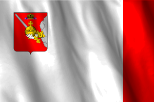 National Flag of Vologda flag