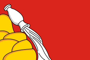 Bandera de Voronezh flag