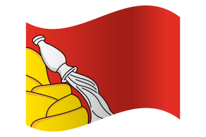 Bandera de Voronezh flag