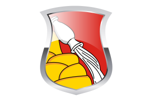 Bandera del Orgullo de Voronezh flag