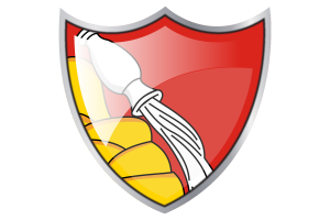 Estandarte de Voronezh flag