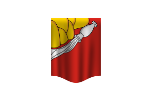 Banner de la Bandera de Voronezh flag