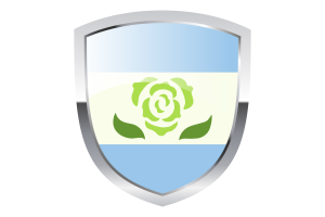 National Flag of Abrosexual Pride Clipart flag