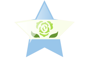 Abrosexual Pride Flag Star Icon flag