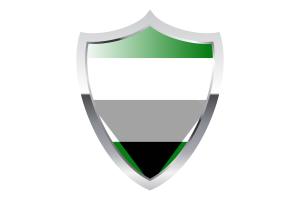 Bandera aegorromántica con escudo medieval flag